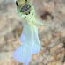 jawfish_yellowhead_dd_fc_v_0283_tci1484.jpg